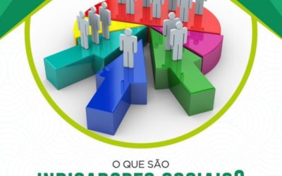 O que são Indicadores Sociais?