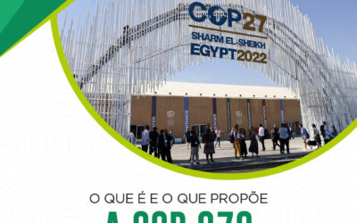 O que é e o que propõe a COP 27?